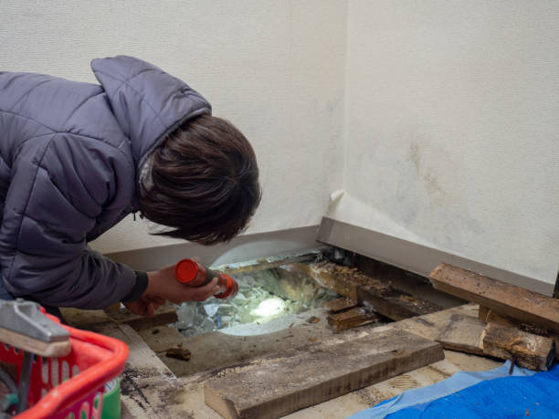 Best Mold Remediation for Healthcare Facilities  in Delhi Hills, OH
