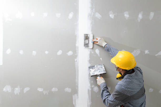 Best Comprehensive Air Testing for Mold Contaminants  in Delhi Hills, OH
