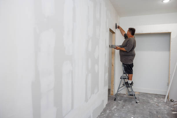 Delhi Hills, OH Mold Removal Company