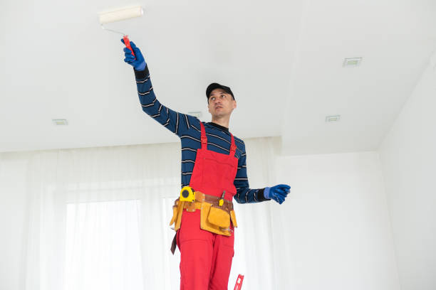 Best Environmental Consulting for Mold Prevention  in Delhi Hills, OH