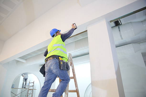 Best Biohazard Mold Removal  in Delhi Hills, OH